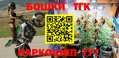 меф Кингисепп