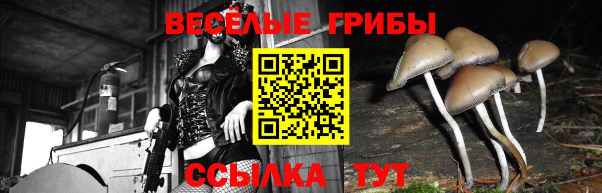 Псилоцибиновые грибы ЛСД Томск