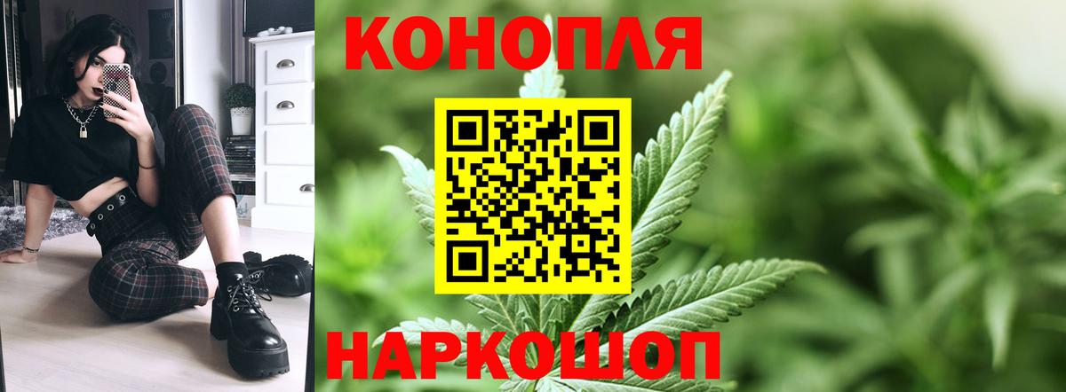 Бошки марихуана гибрид  Шишки марихуана MAZAR  Марихуана конопля  Томск  Вход с VPN 